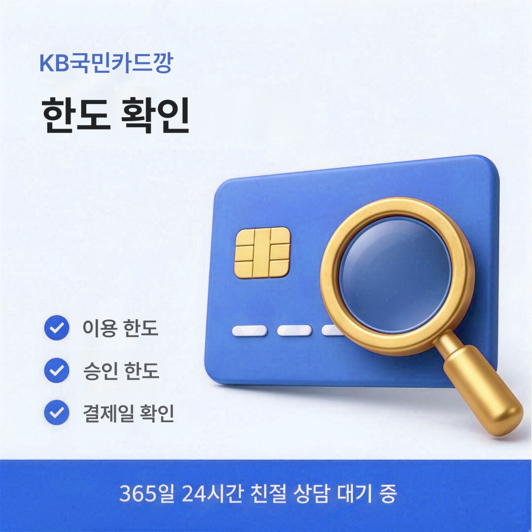 다음머니 KB국민카드깡 한도 확인 안내